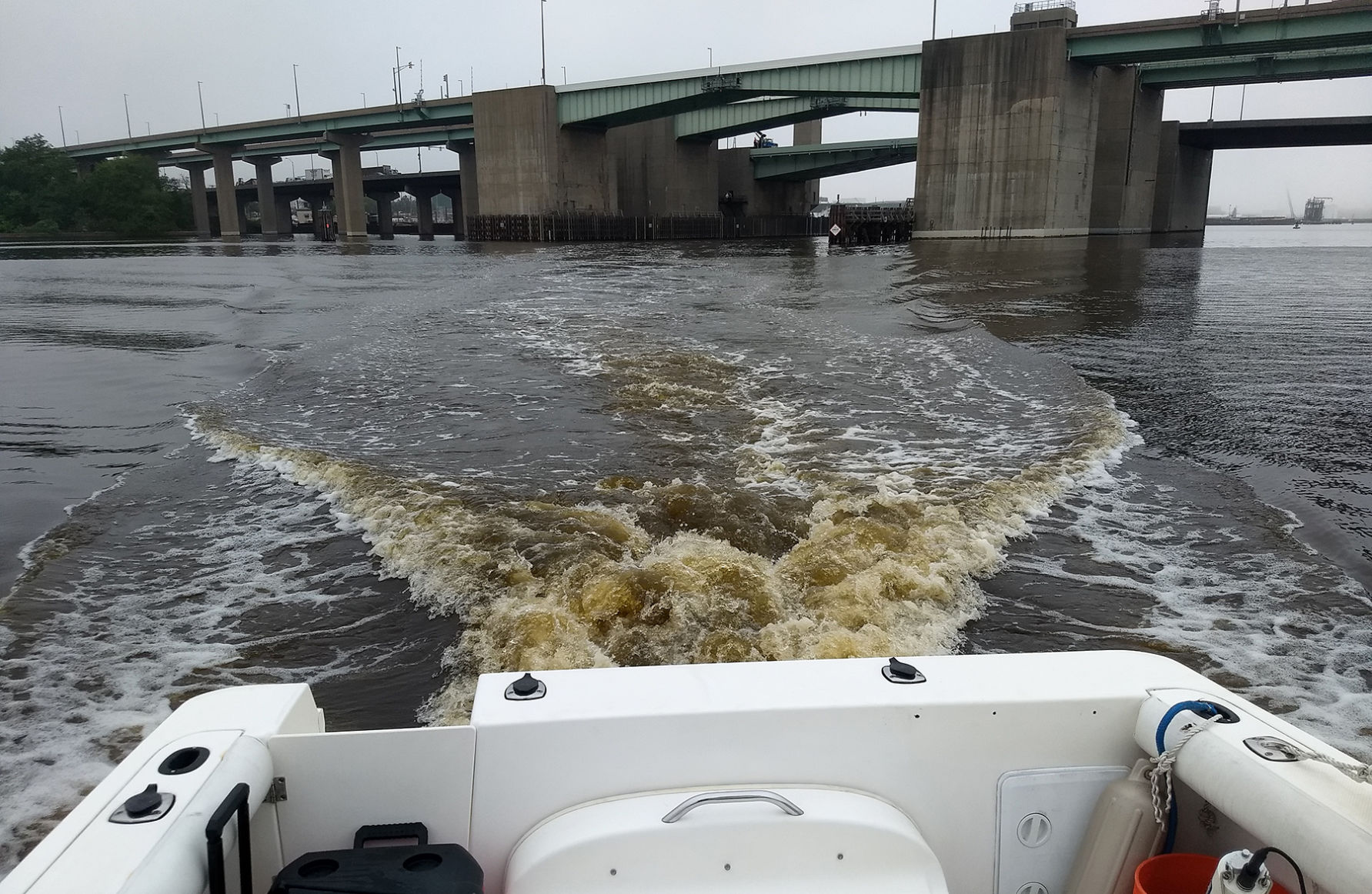 Mahogany tide in boat wake